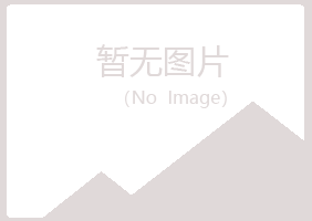 萍乡安源紫山能源有限公司